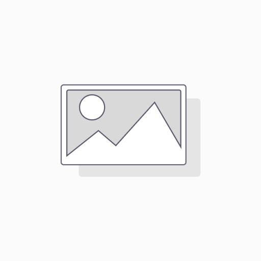 [AF100-CE] Catridge filter: